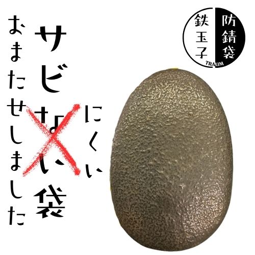 鉄分補給 ザ・鉄玉子 薄型 TRAUM 説明書 付き TRAUM 楽天市場店