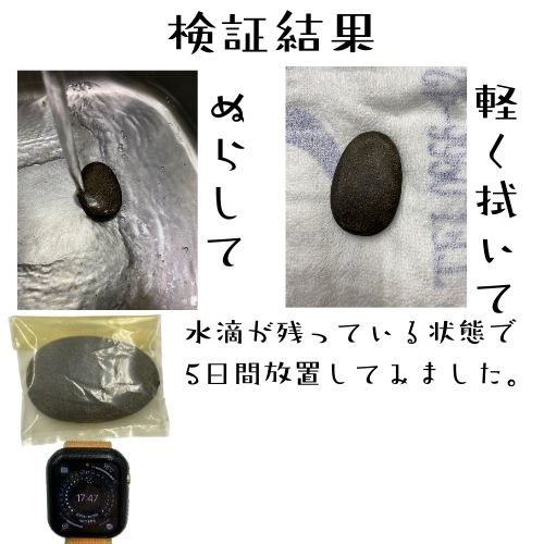 鉄分補給 ザ・鉄玉子 薄型 TRAUM 説明書 付き TRAUM 楽天市場店