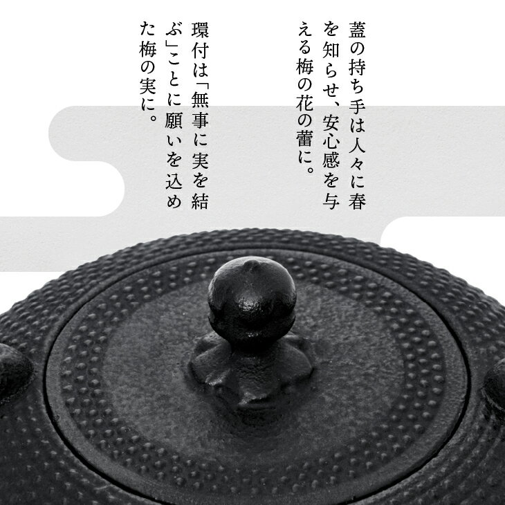 【ふるさと納税】 南部鉄器 鉄瓶 めんこい寒梅あられ鉄瓶〜MENKOI　ARARE〜 0.9L 直火 ガスレンジ IH調理器 伝統工芸品 艶黒色 やかん ケトル キッチン用品 食器 日用品 雑貨 鉄分補給 [BE003] 岩手県奥州市